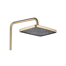 Zuhanyszett PREMIUM REA JOE Brush Gold